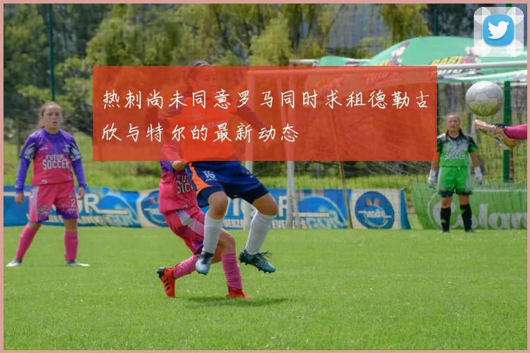 热刺尚未同意罗马同时求租德勒古欣与特尔的最新动态