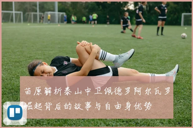 苗原解析泰山中卫佩德罗阿尔瓦罗崛起背后的故事与自由身优势