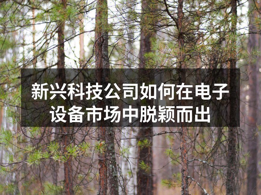 新兴科技公司如何在电子设备市场中脱颖而出